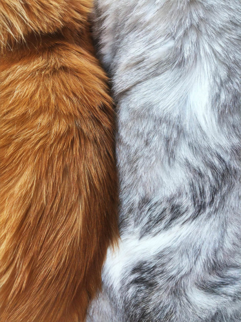 Fur